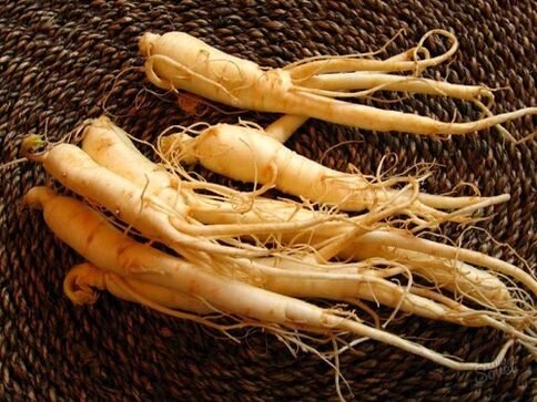 La racine de ginseng augmente la puissance après 60 ans