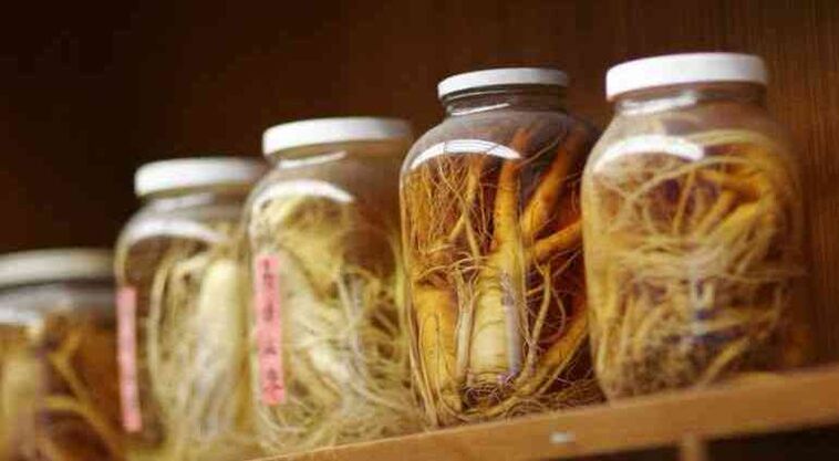 La teinture de ginseng augmente la puissance masculine