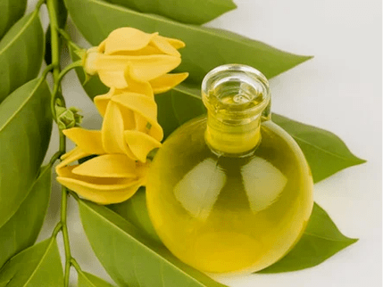 L'aromathérapie améliore l'efficacité